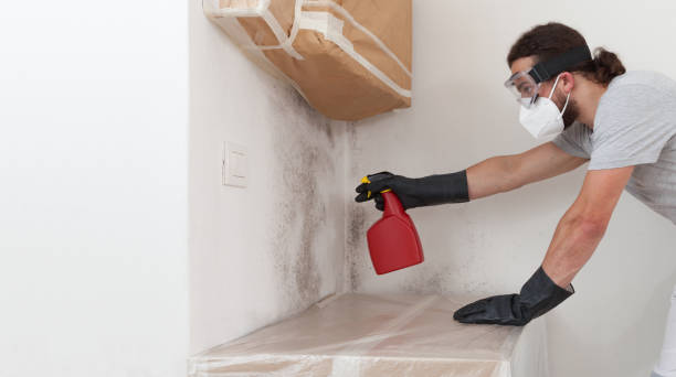 Professional Bathroom Mold Removal technician working in White Plains, NC