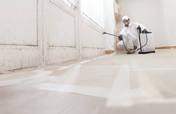 24/7 Emergency Bathroom Mold Removal experts in White Plains, NC